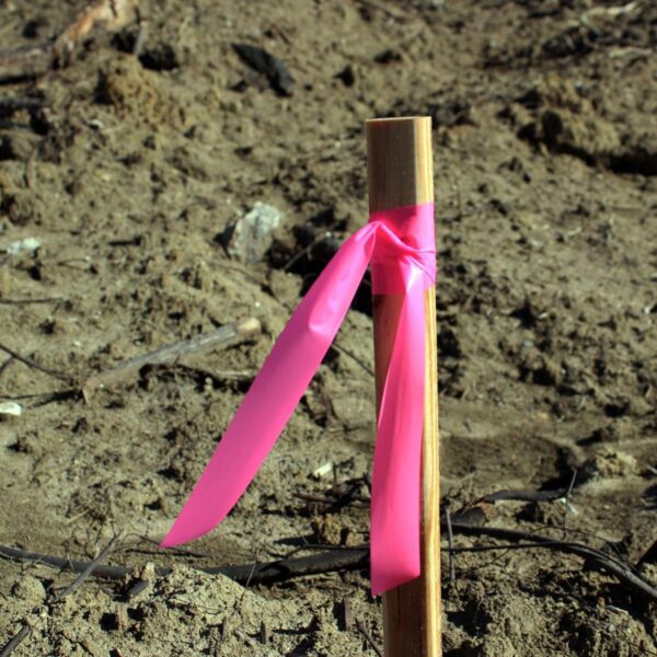 Presco ARPG ARCTIC PINK GLO Roll Flagging - Image 2
