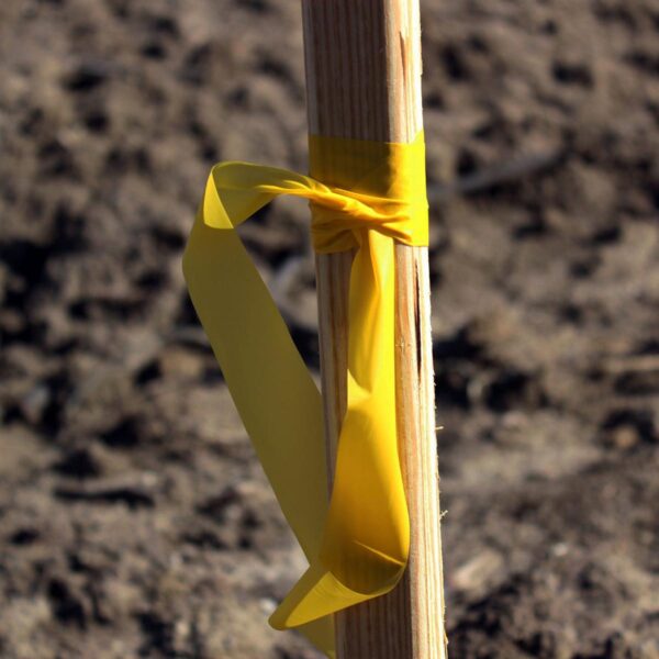 Presco ARYL ARCTIC YELLOW Roll Flagging - Image 2