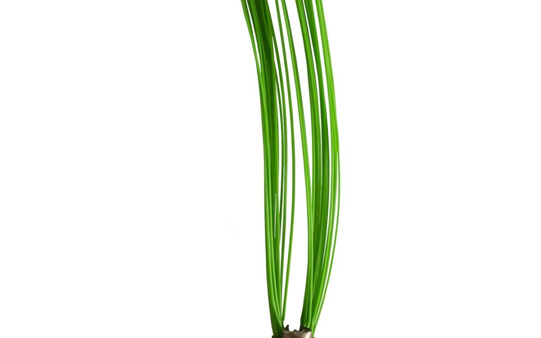 Smi-Carr, Inc. SMI-GREEN Stake Chaser Marking Whiskers